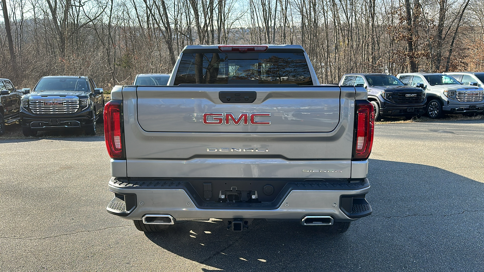 2025 GMC Sierra 1500 Denali 4