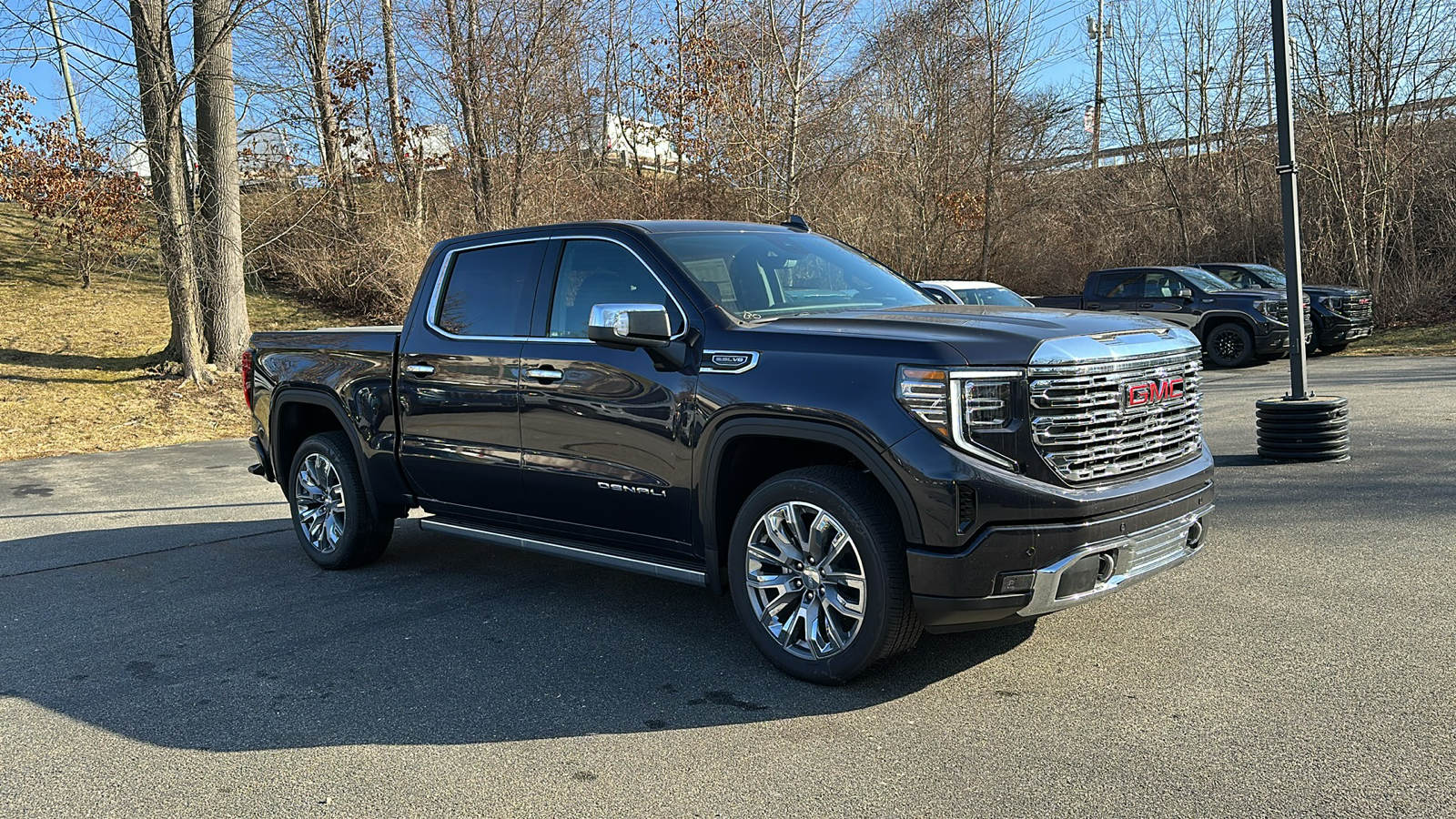 2025 GMC Sierra 1500 Denali 2