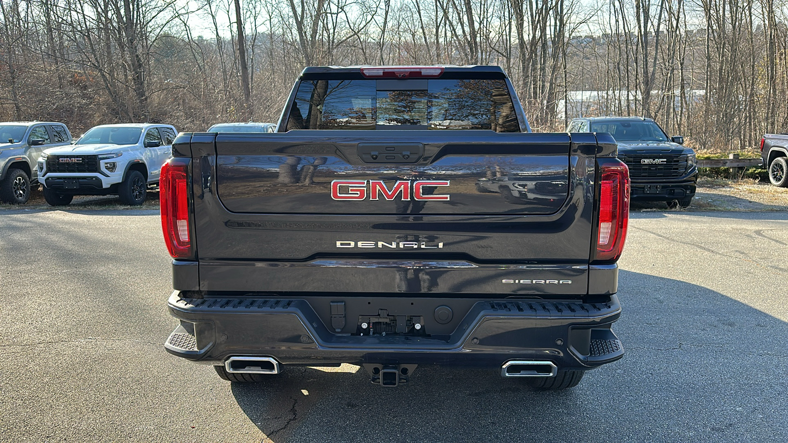 2025 GMC Sierra 1500 Denali 4