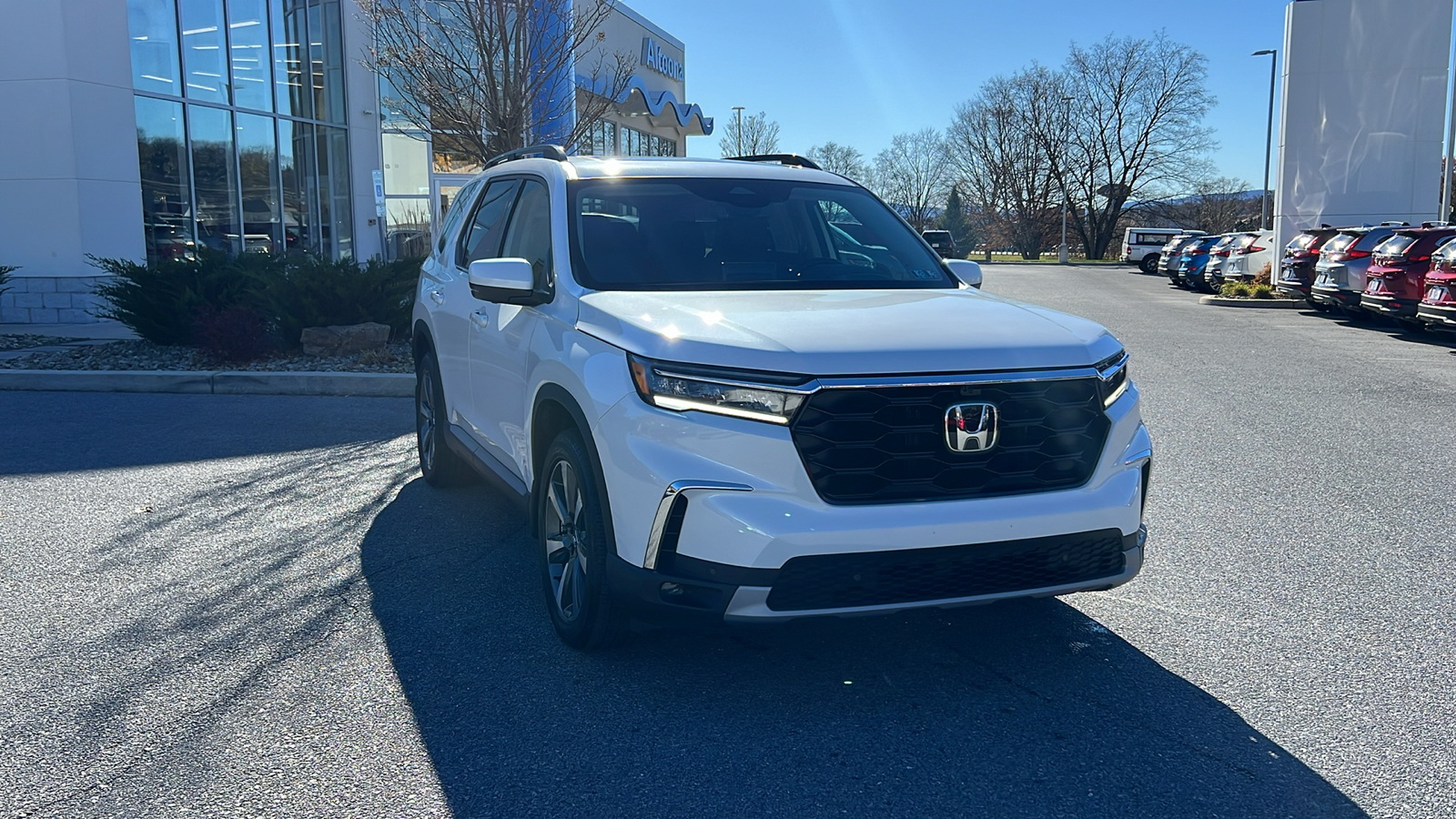 2024 Honda Pilot Elite 1