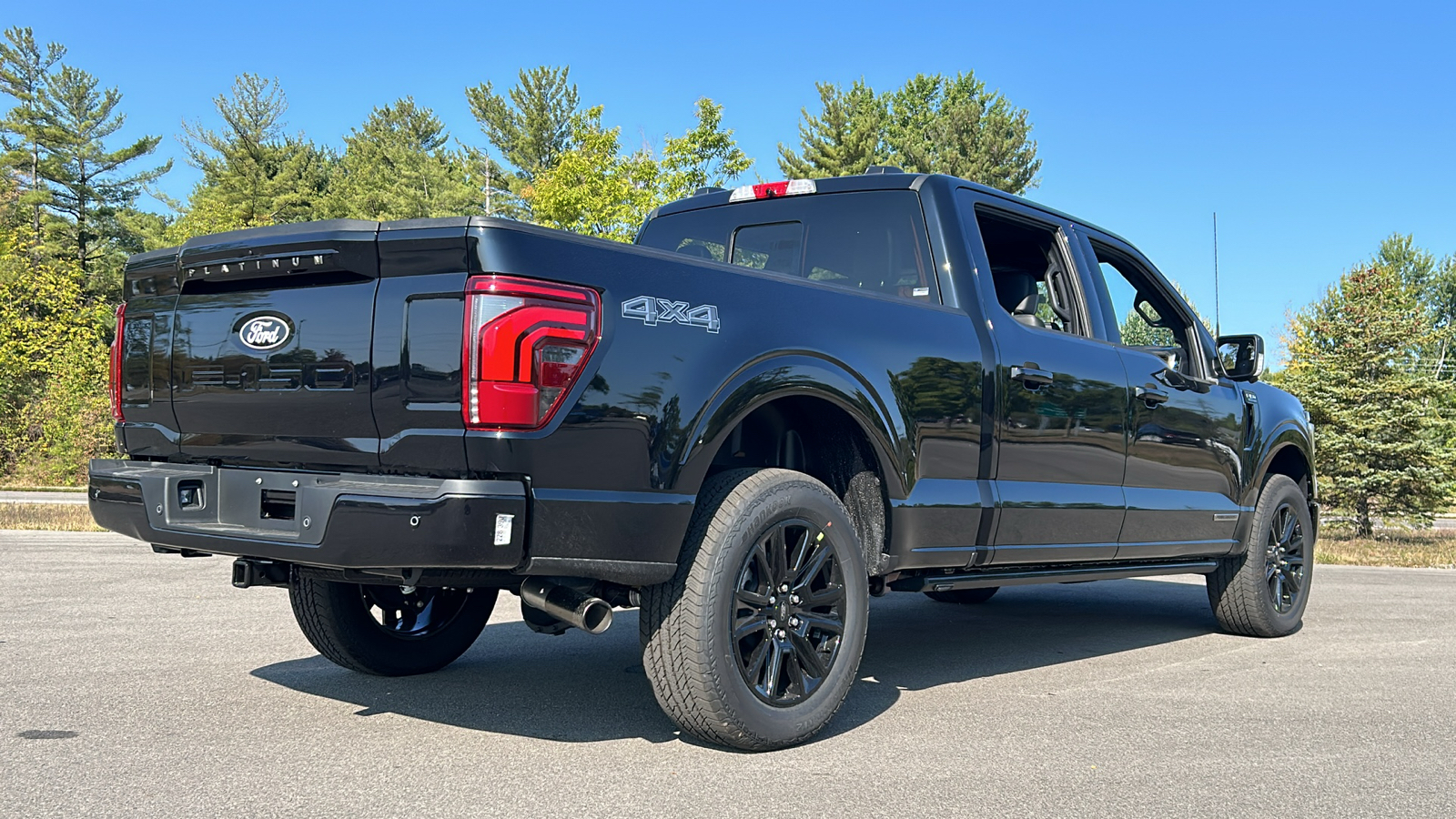 2024 Ford F-150 Platinum 11