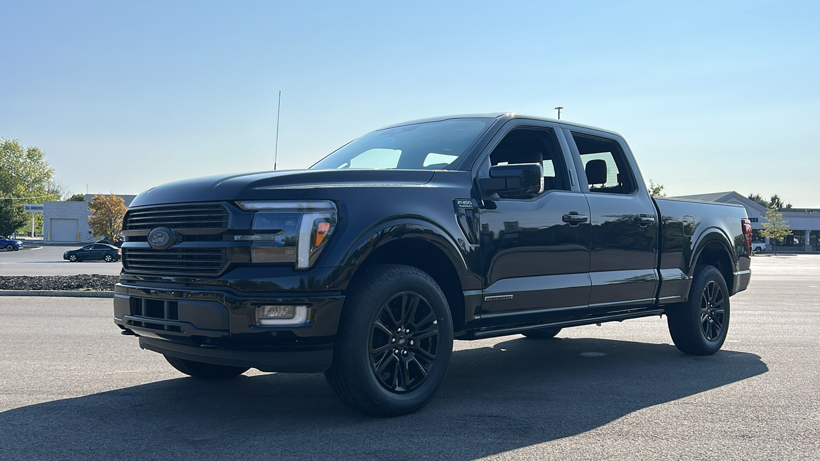 2024 Ford F-150 Platinum 40