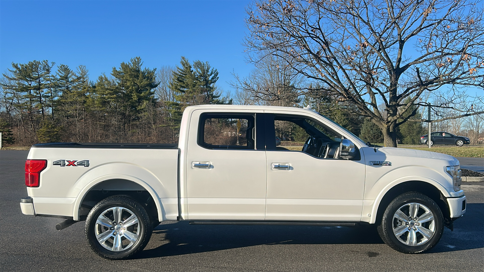 2019 Ford F-150 Platinum 4