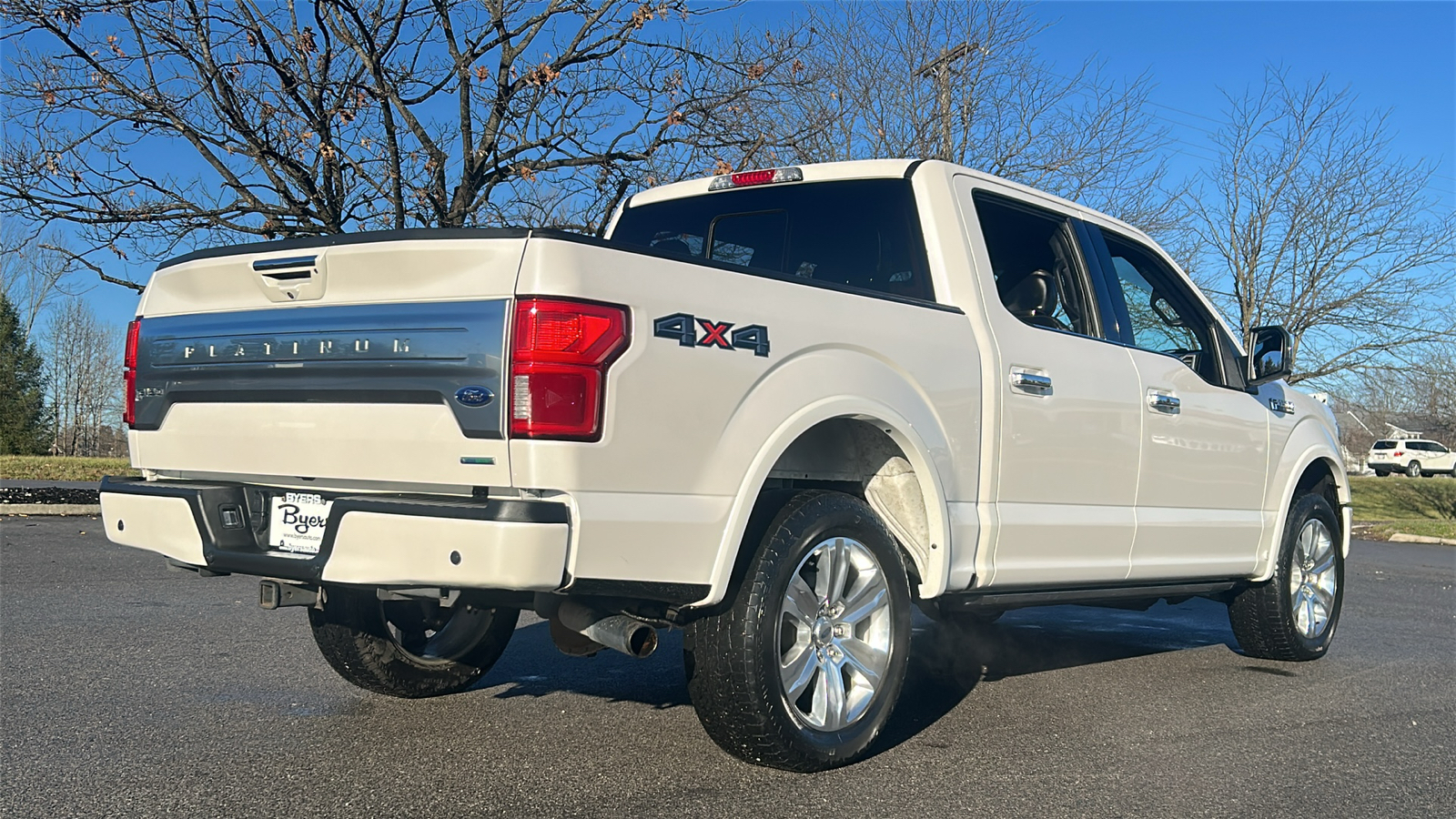 2019 Ford F-150 Platinum 11