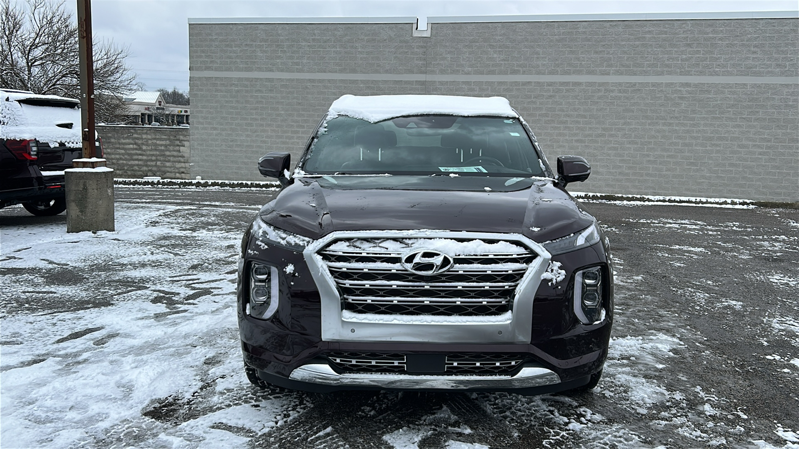 2020 Hyundai Palisade Limited 44