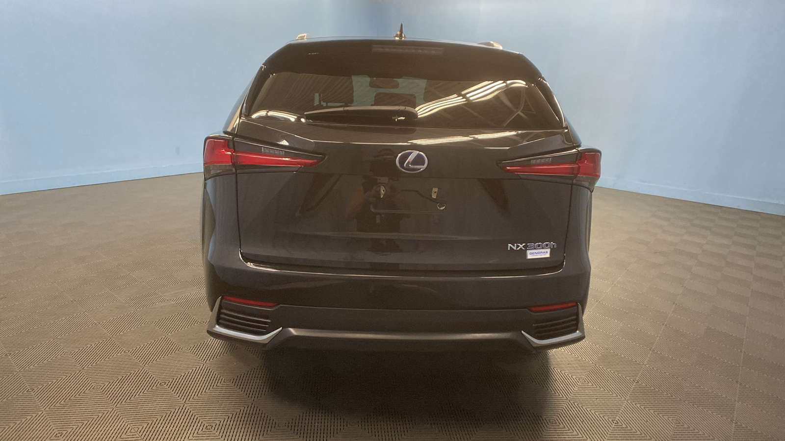 2019 Lexus NX NX 300h 6