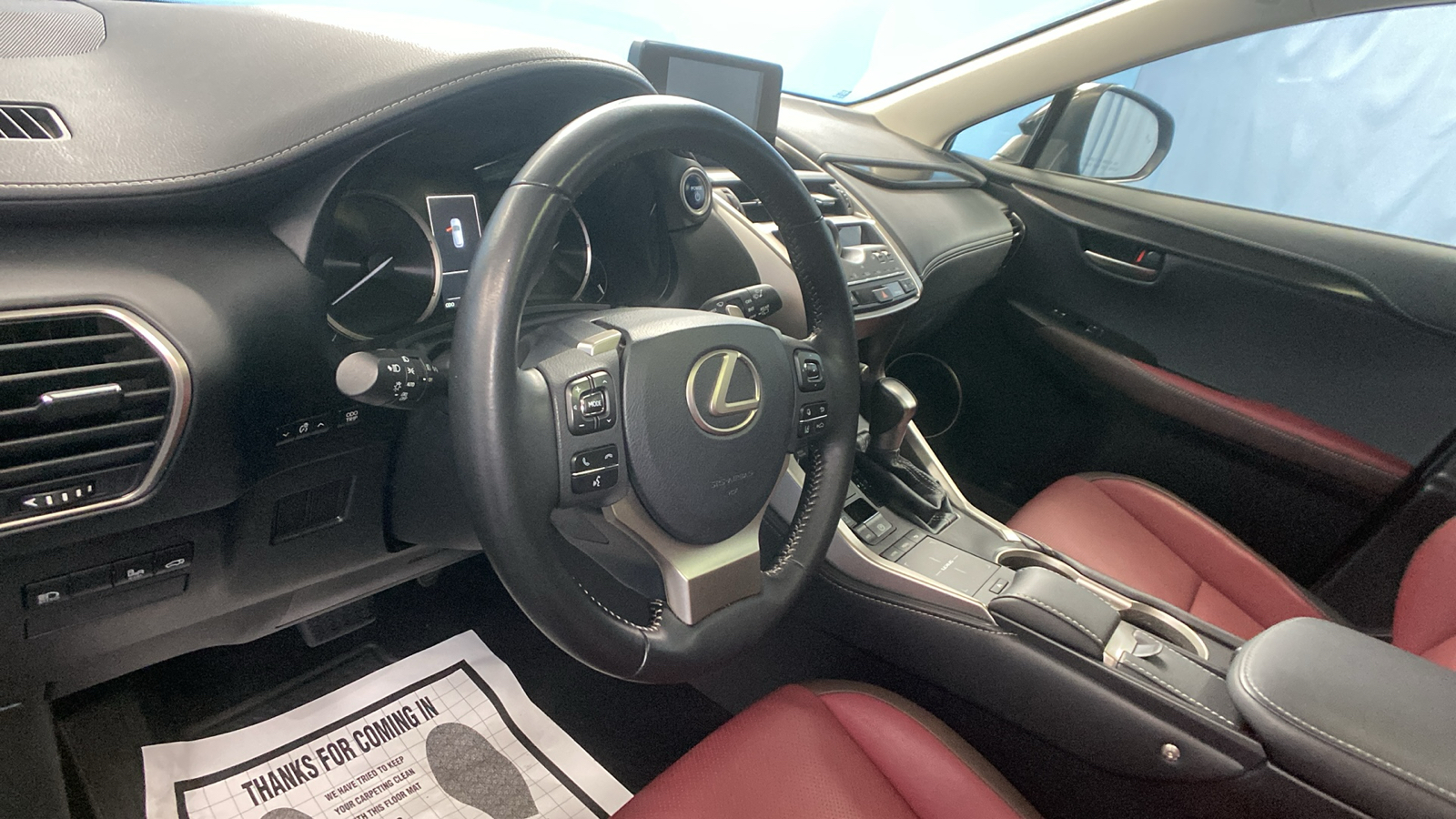 2019 Lexus NX NX 300h 12