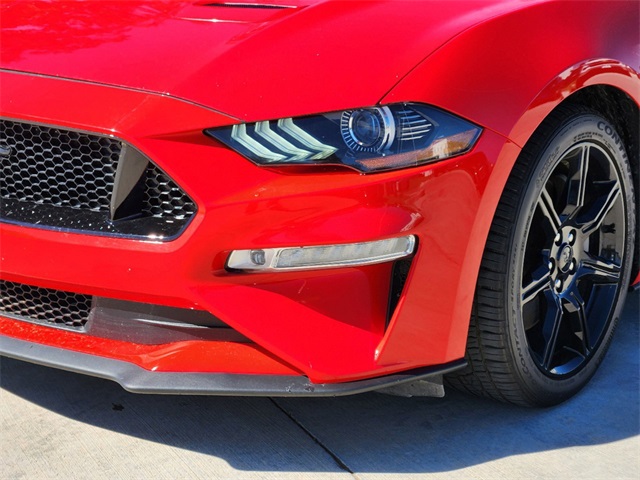 2019 Ford Mustang GT 9