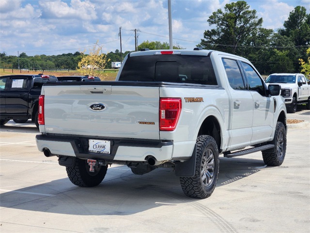 2023 Ford F-150 Tremor 6