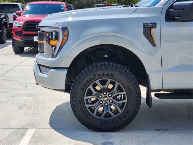 2023 Ford F-150 Tremor 10