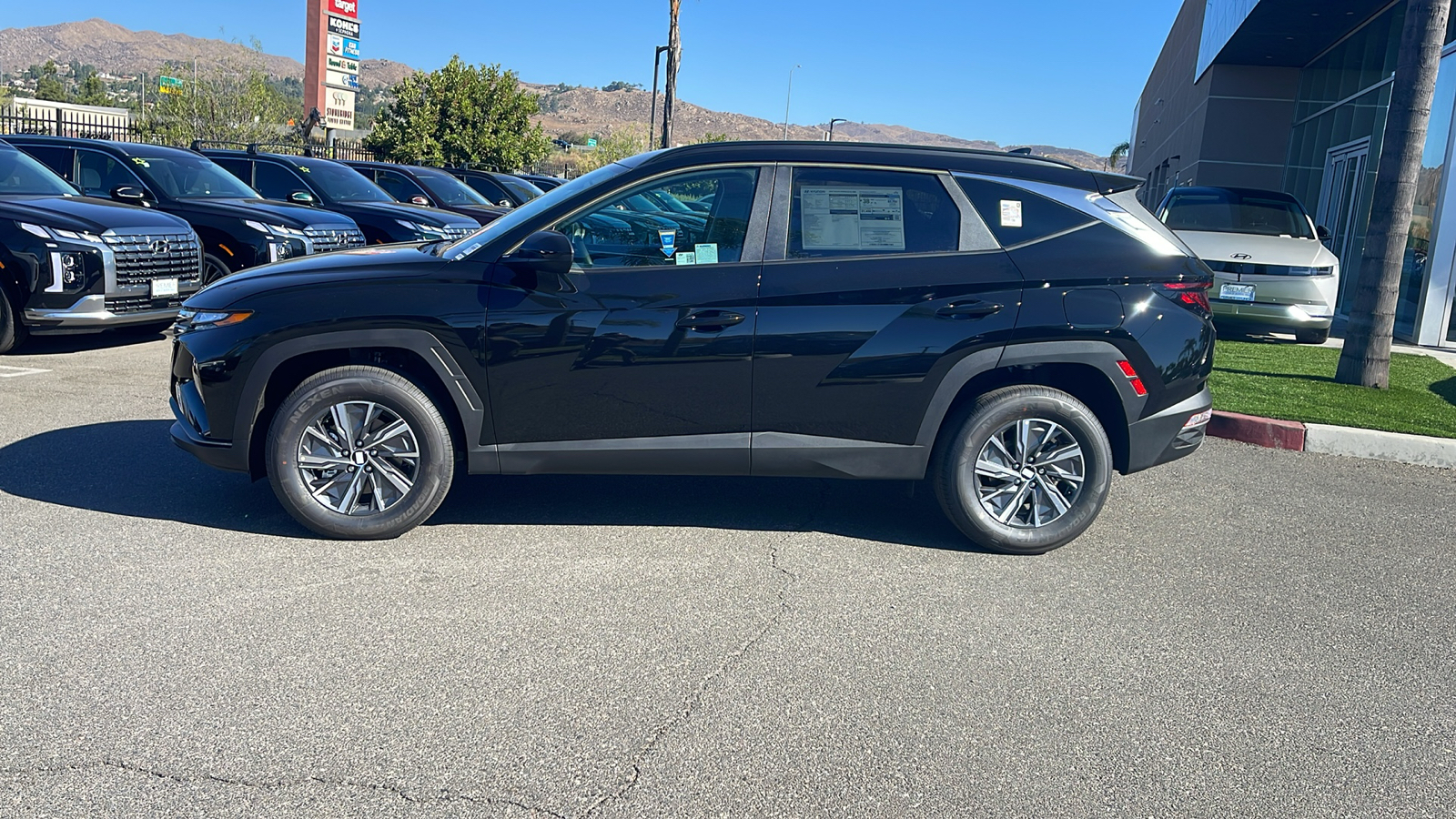 2024 Hyundai Tucson Hybrid Blue 2