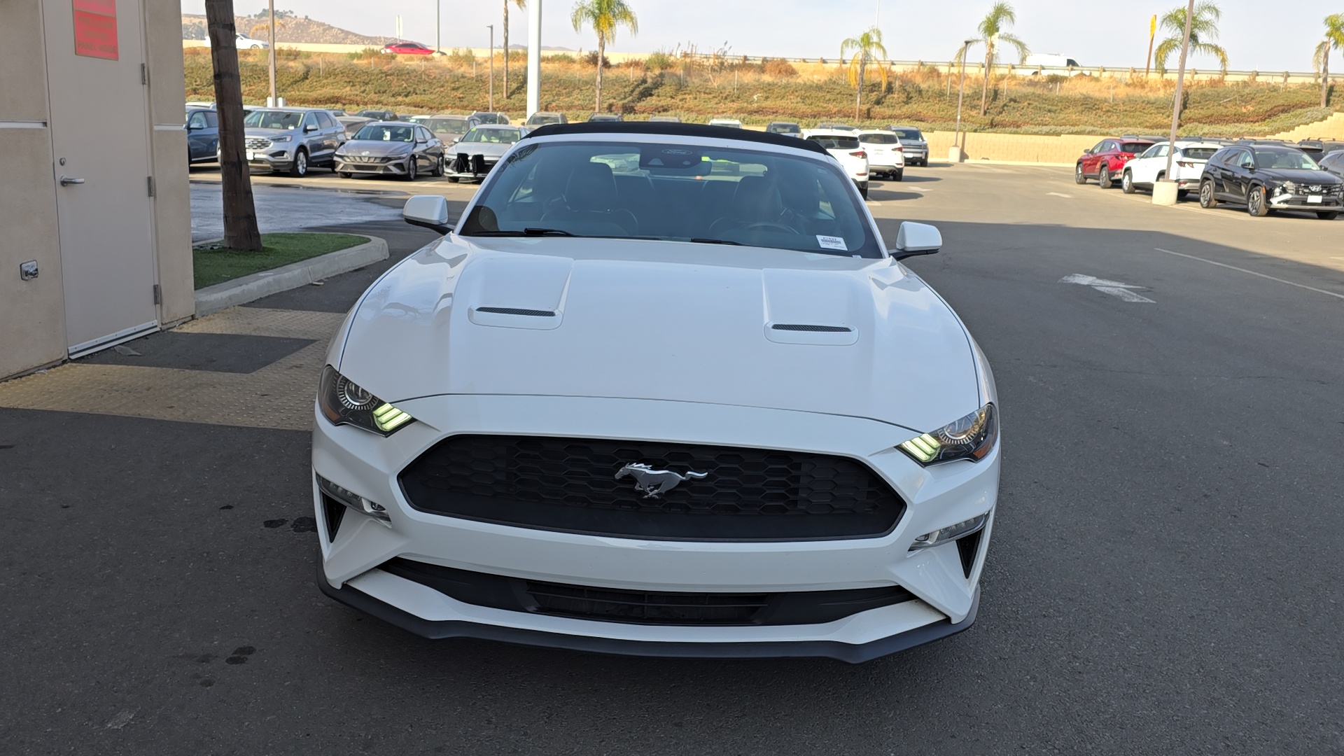 2021 Ford Mustang EcoBoost Premium 2