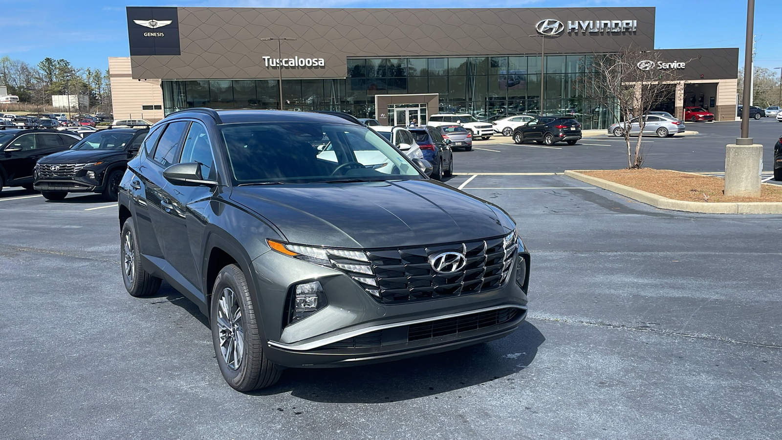 2024 Hyundai Tucson Hybrid  1