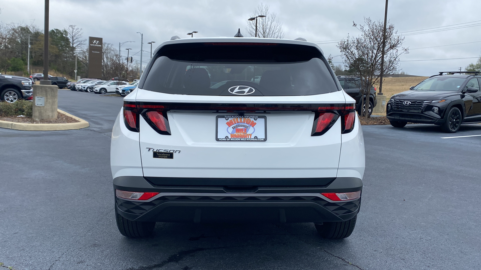 2024 Hyundai Tucson  6