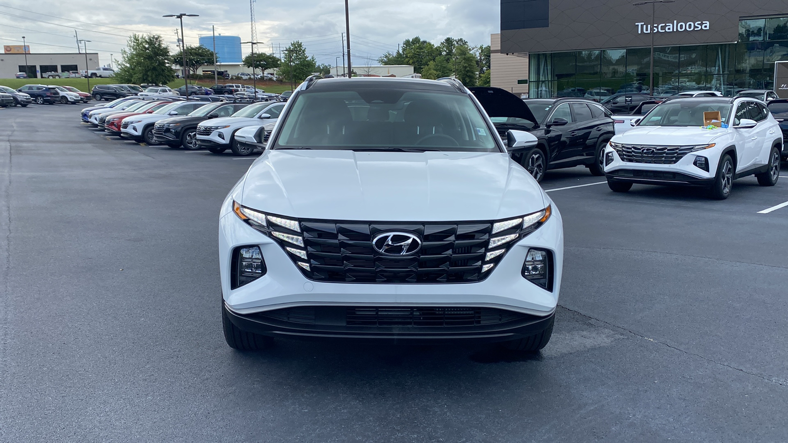 2024 Hyundai Tucson Hybrid  2