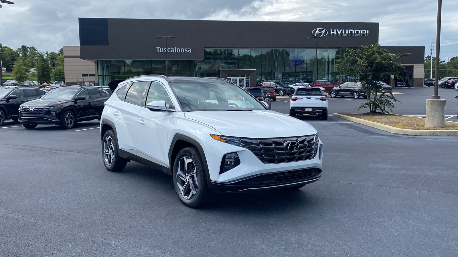 2024 Hyundai Tucson Hybrid  1