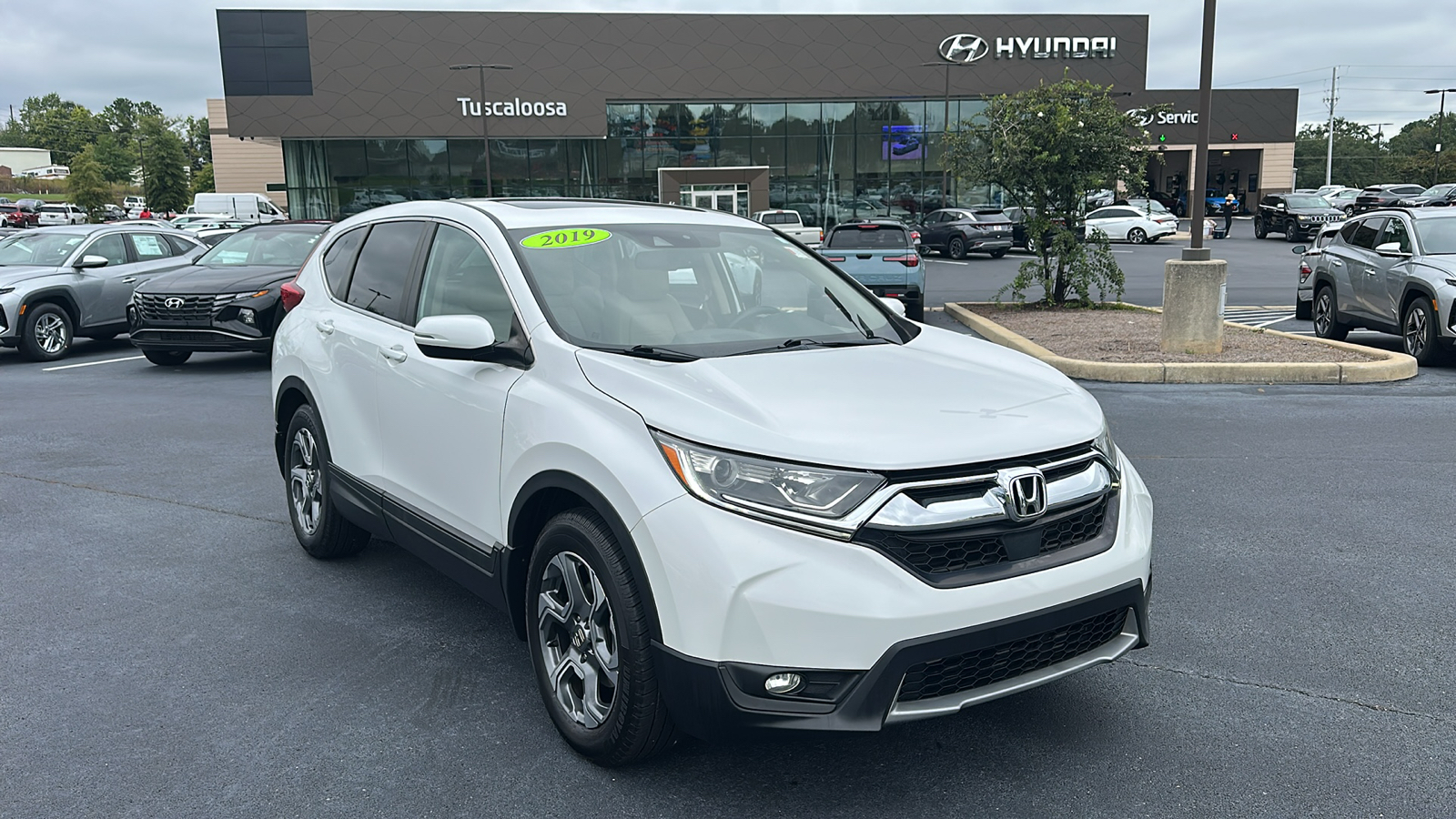 2019 Honda CR-V  1