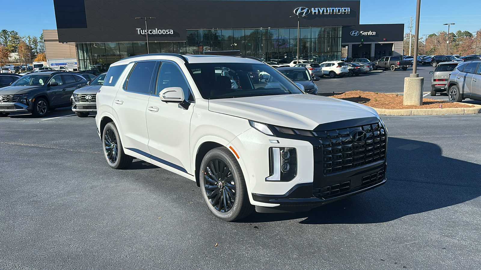 2025 Hyundai Palisade  1