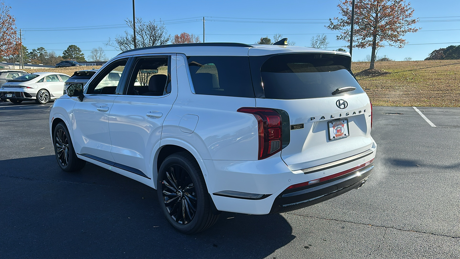 2025 Hyundai Palisade  5