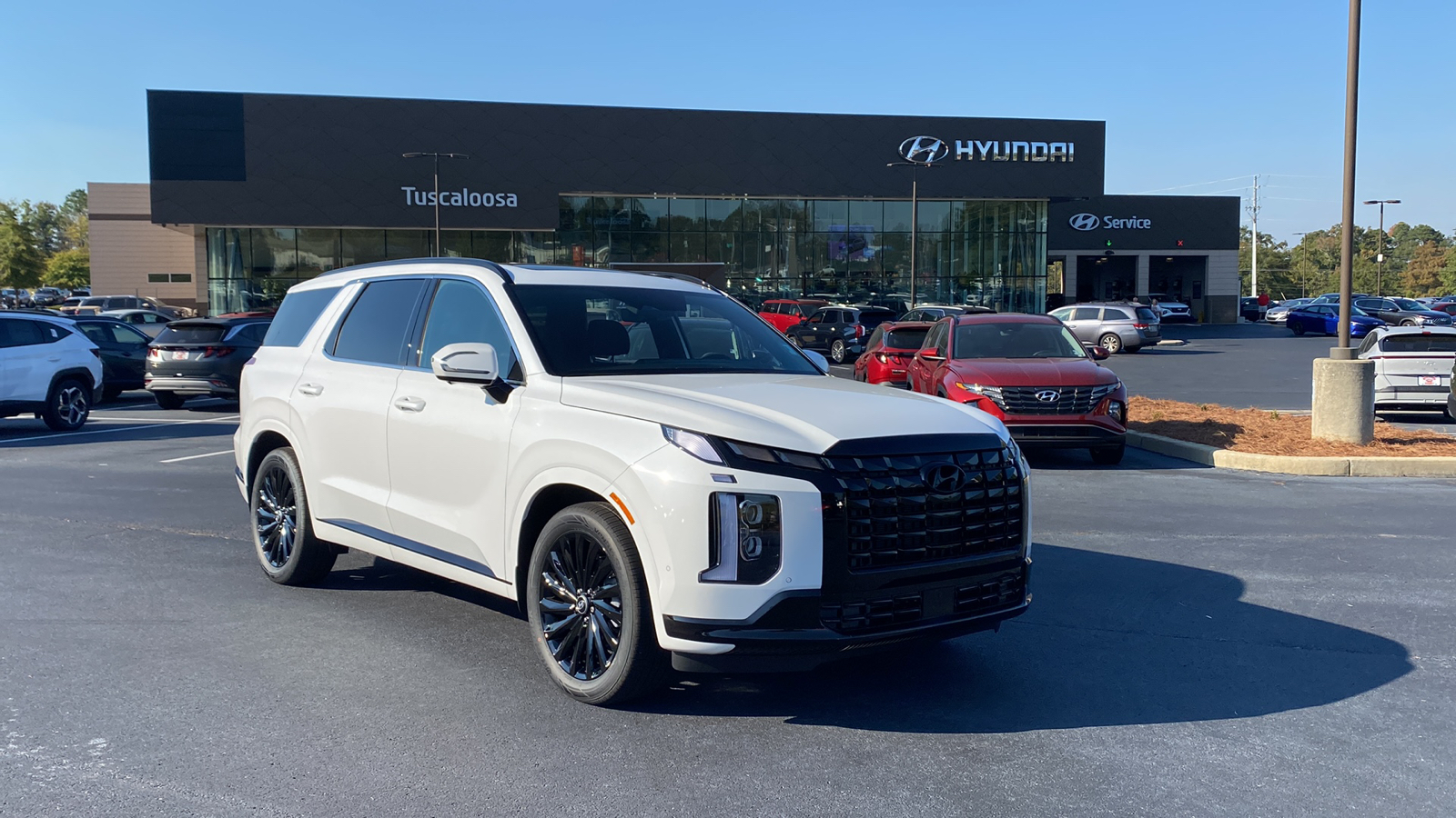 2025 Hyundai Palisade  1