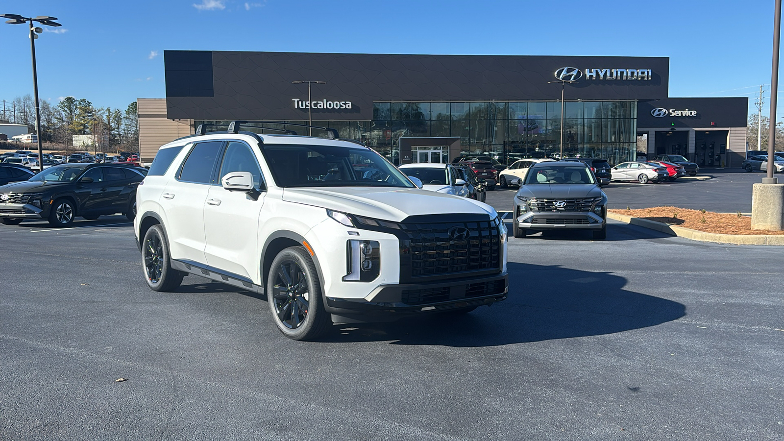 2025 Hyundai Palisade  1