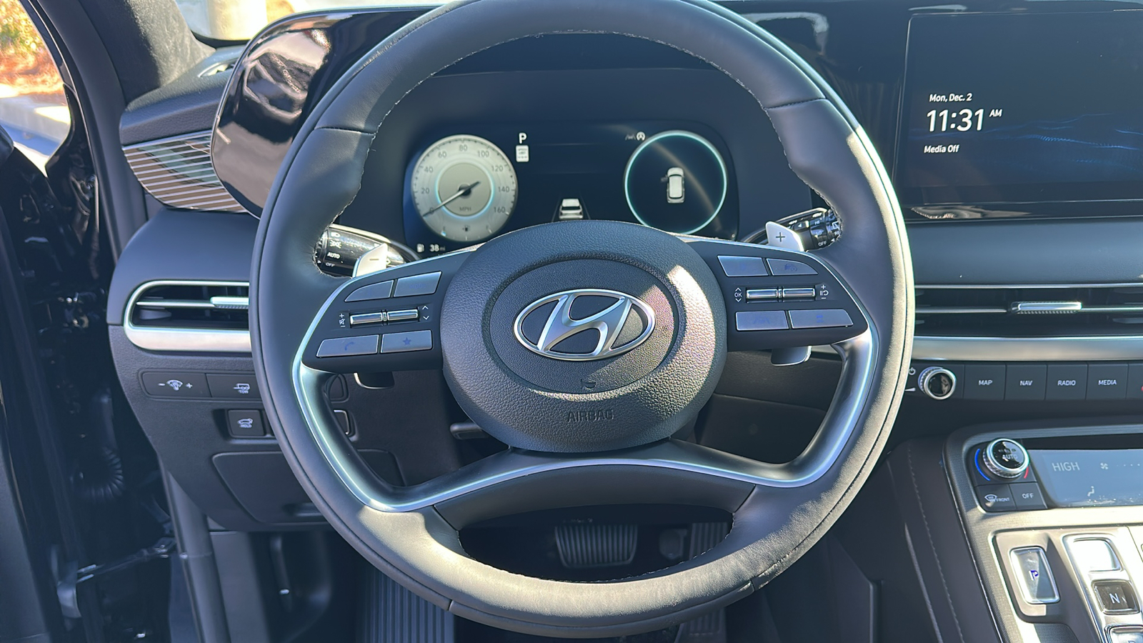 2025 Hyundai Palisade  15