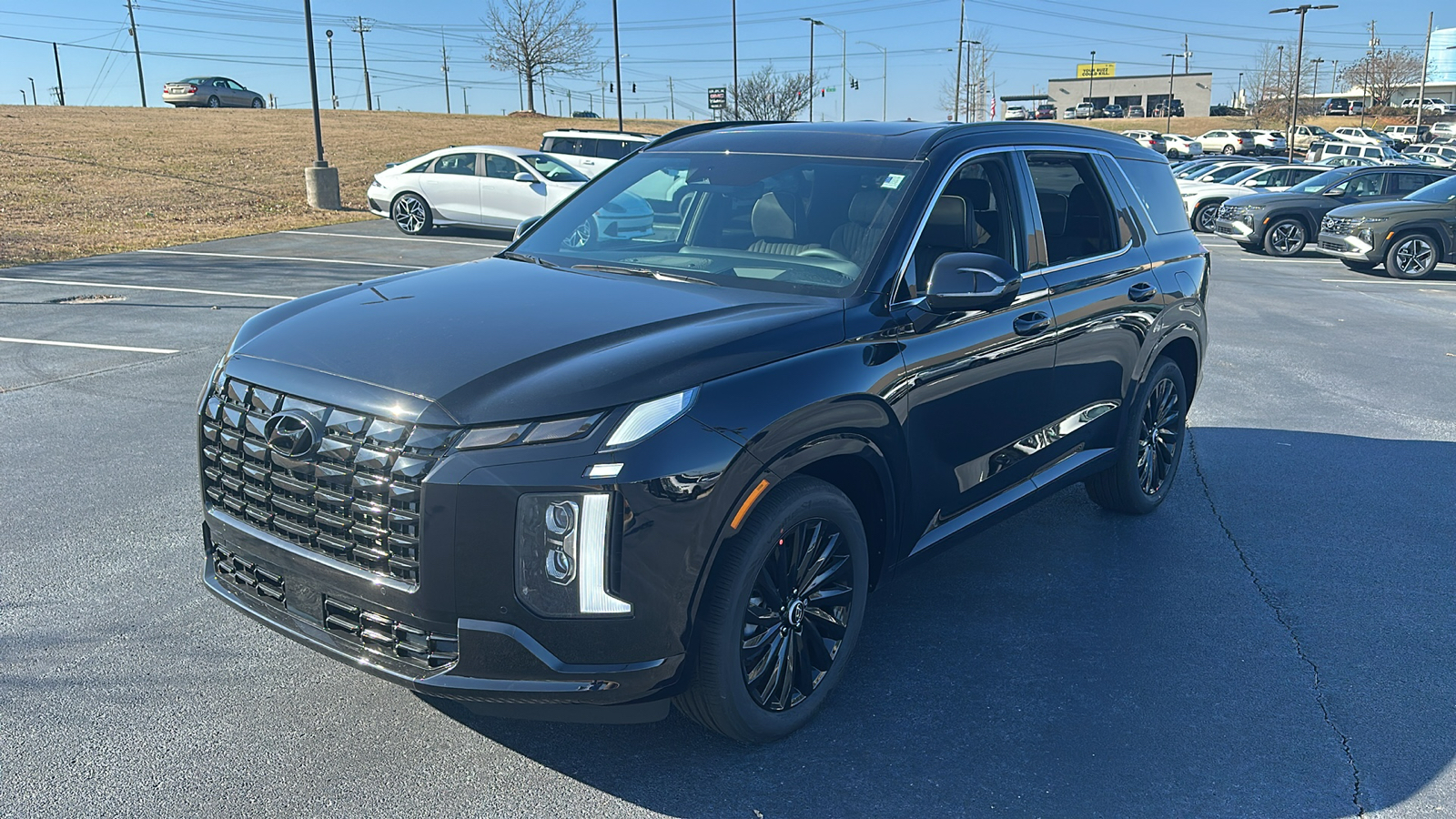 2025 Hyundai Palisade  3