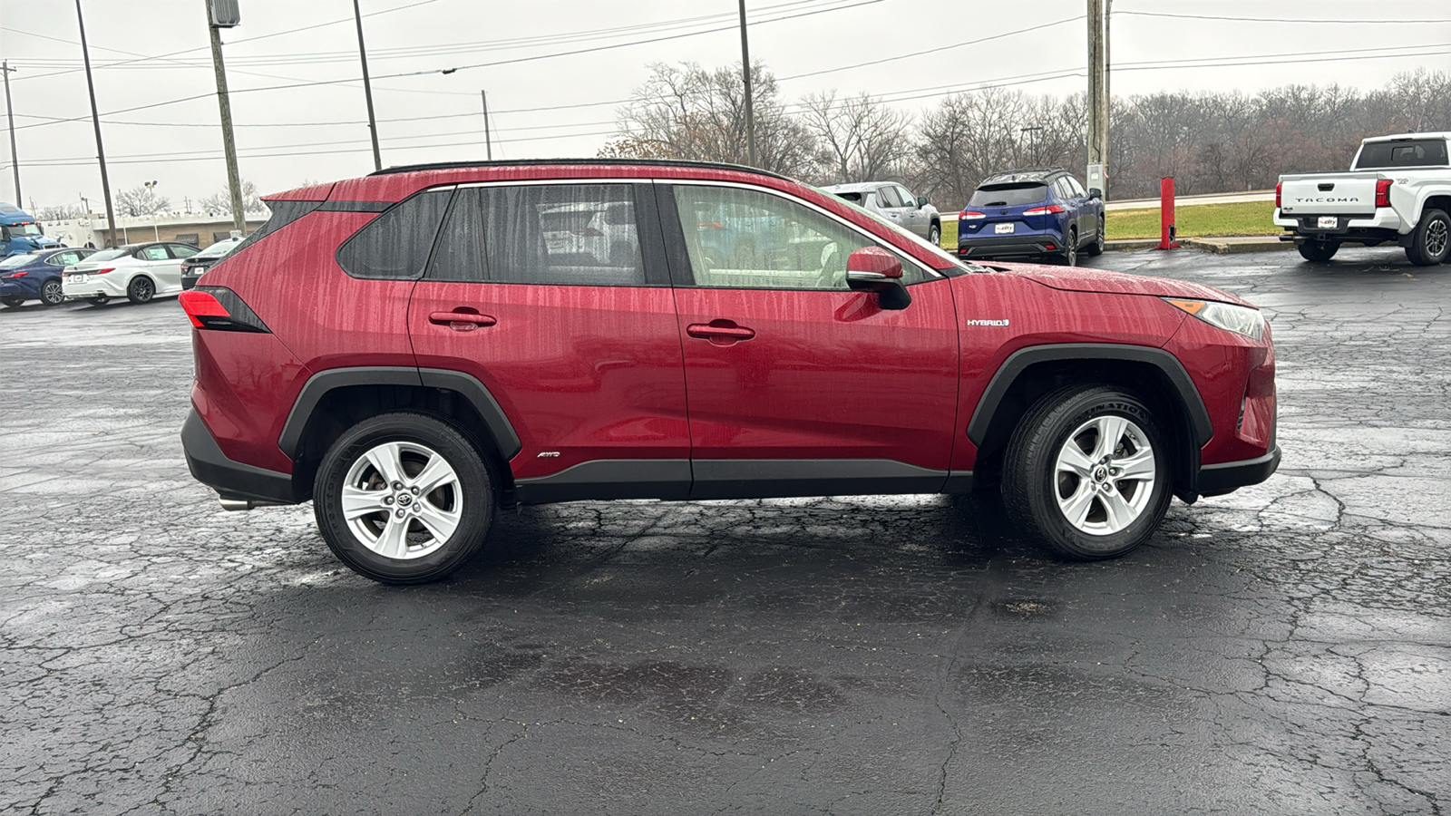 2019 Toyota RAV4 XLE 10