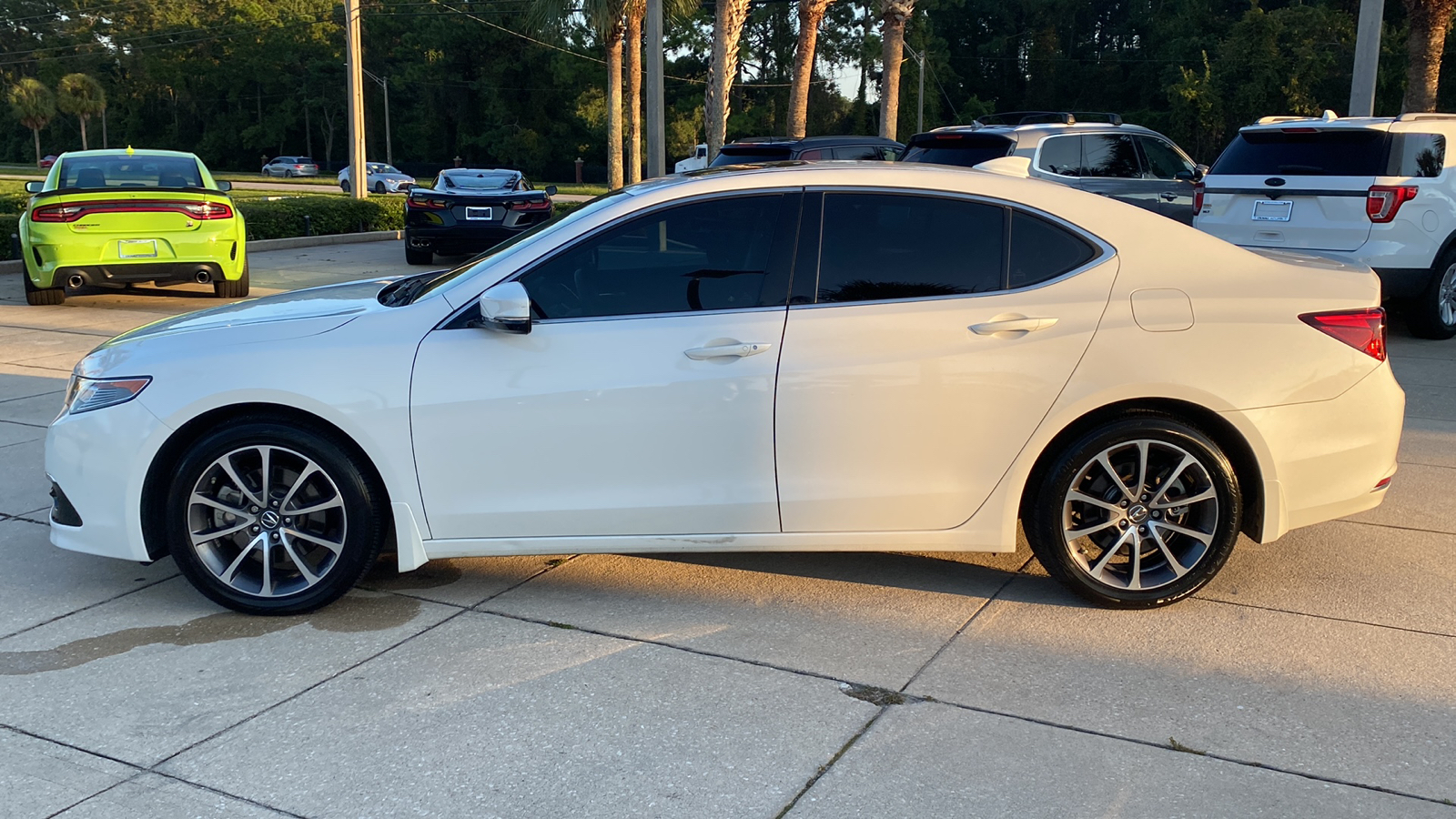 2017 Acura TLX V6 w/Advance Pkg 5