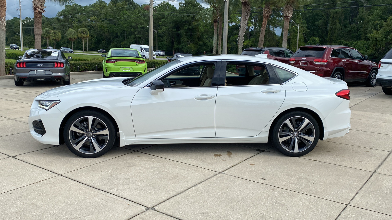 2025 Acura TLX w/Technology Package 6