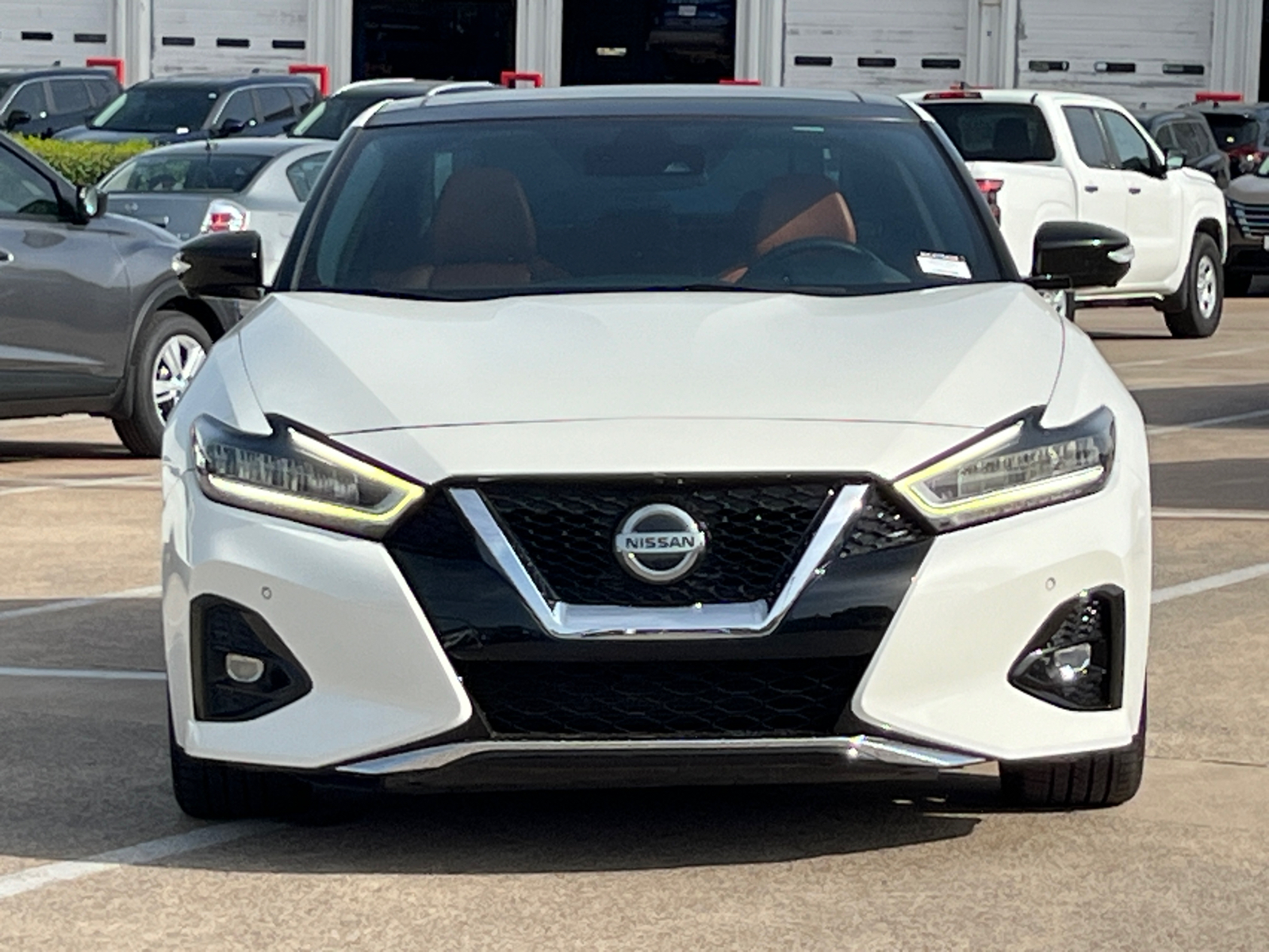 2019 Nissan Maxima Platinum 2