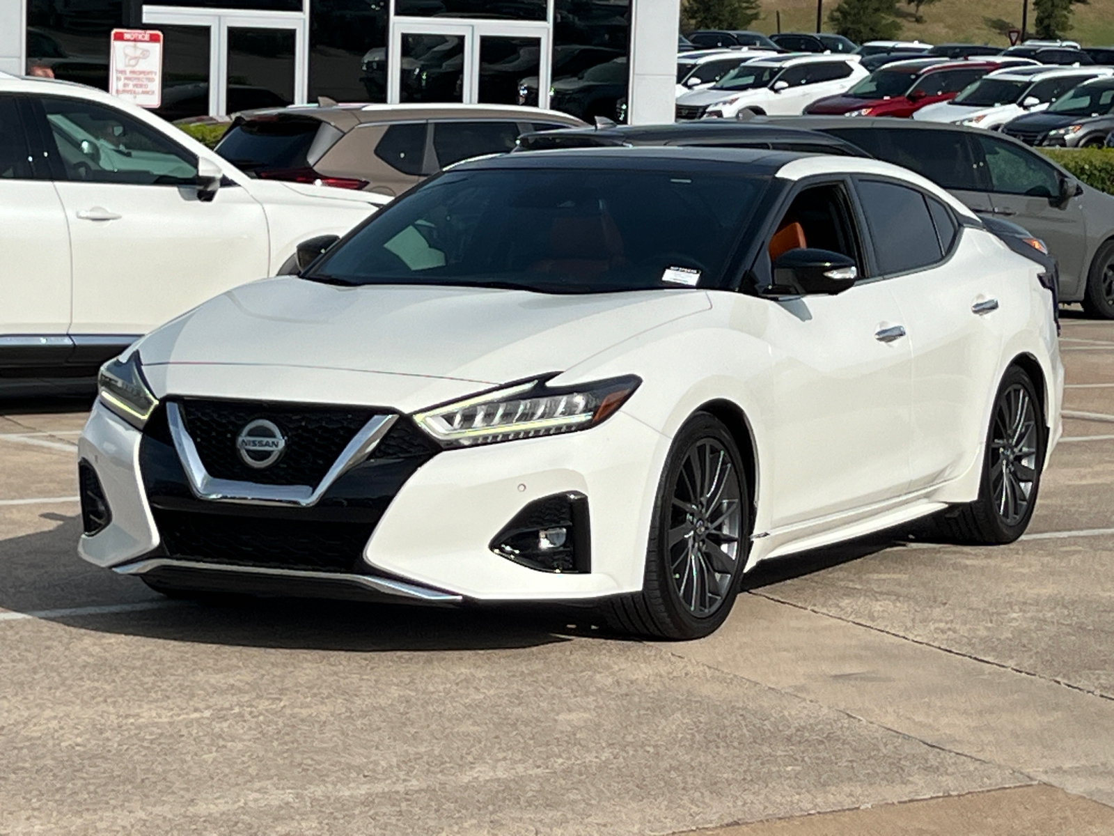 2019 Nissan Maxima Platinum 3