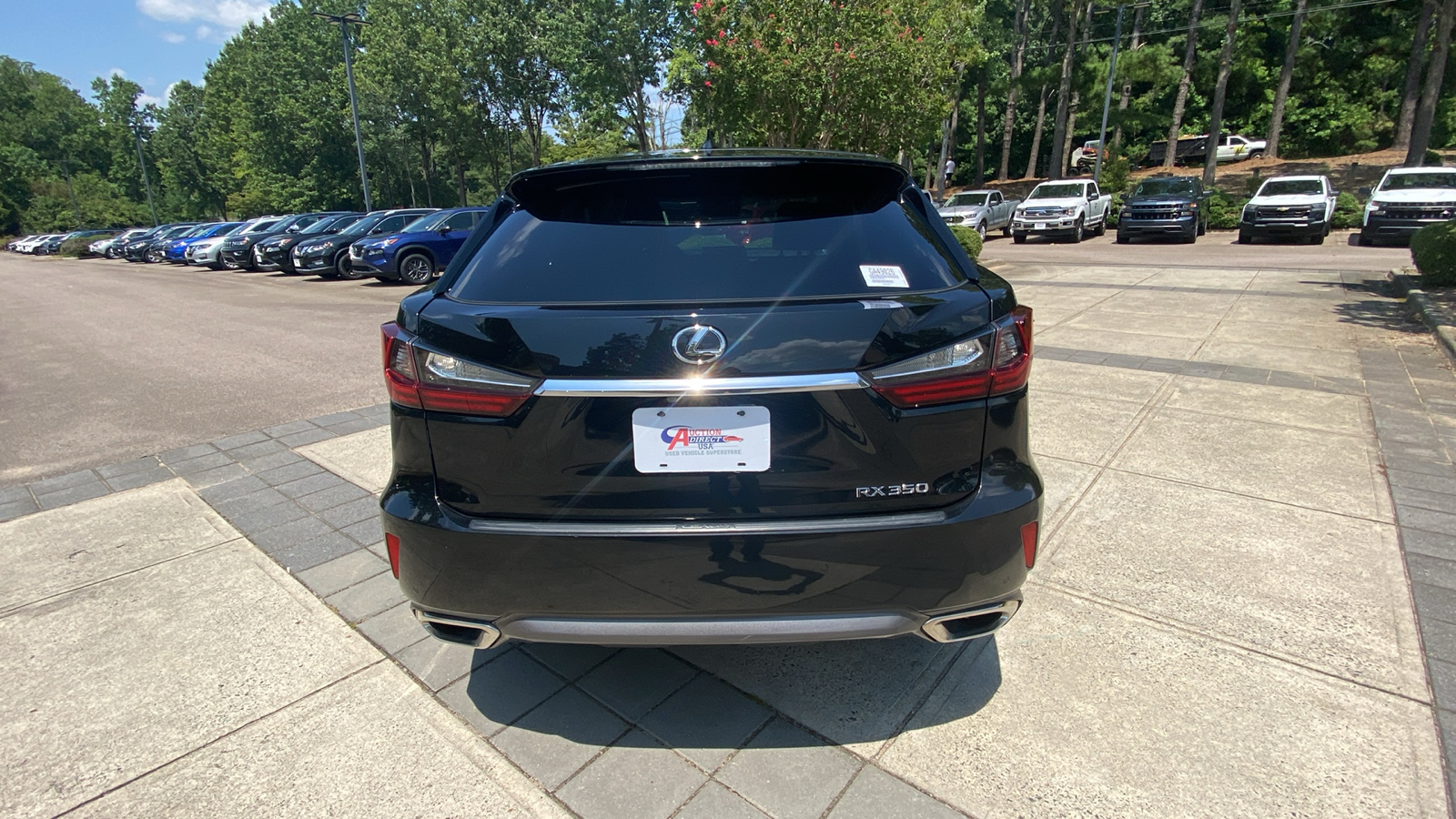 2018 Lexus RX 350 10