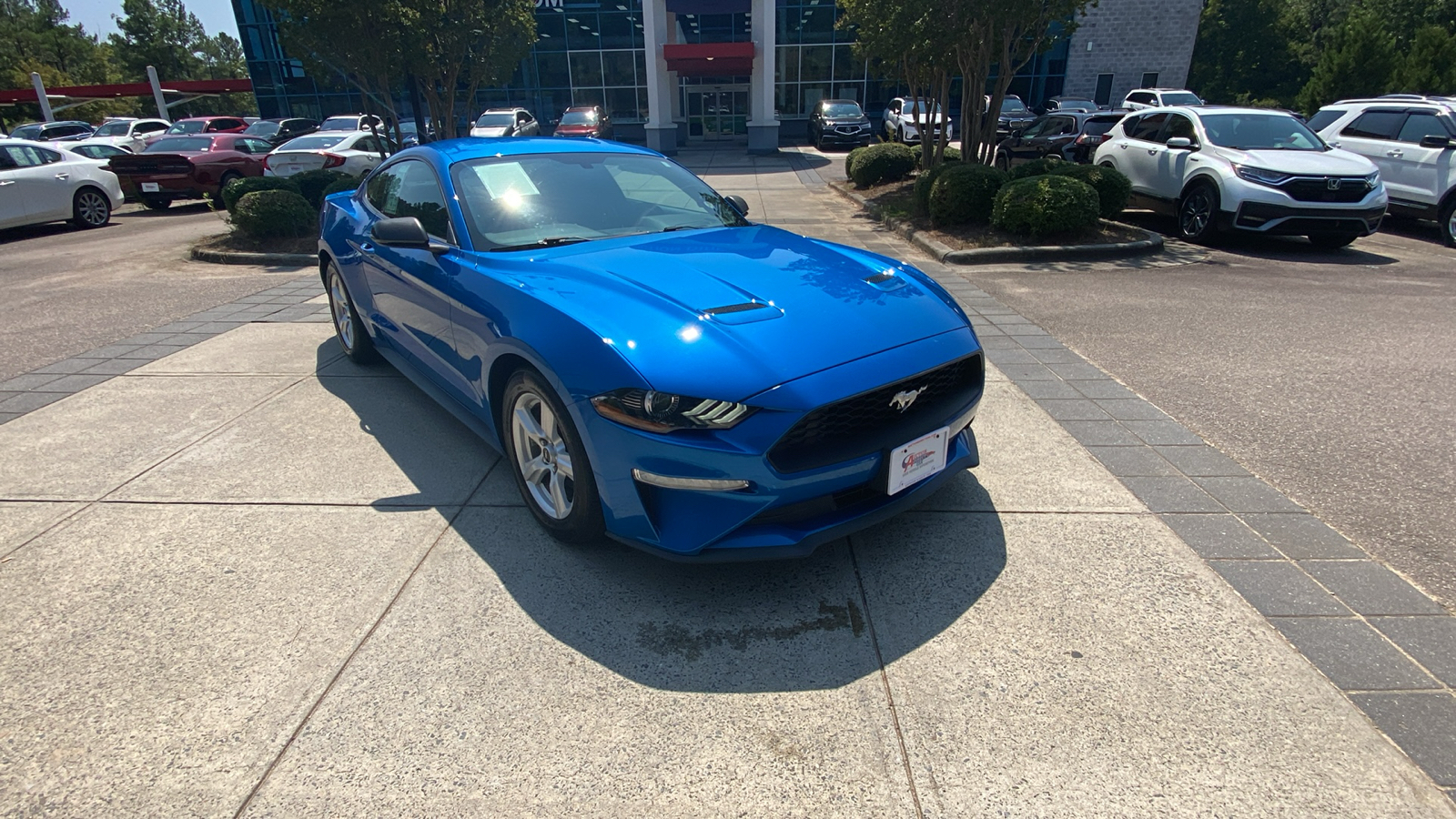 2019 Ford Mustang EcoBoost 1