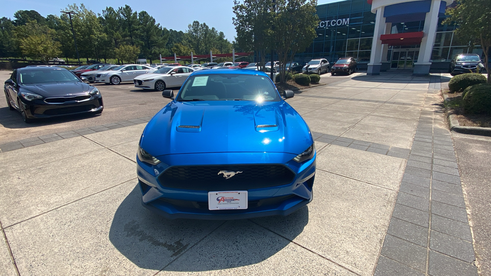 2019 Ford Mustang EcoBoost 3