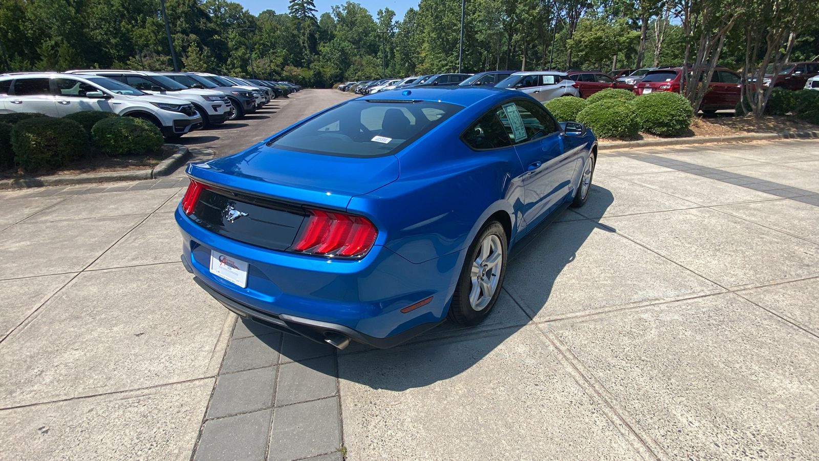 2019 Ford Mustang EcoBoost 14