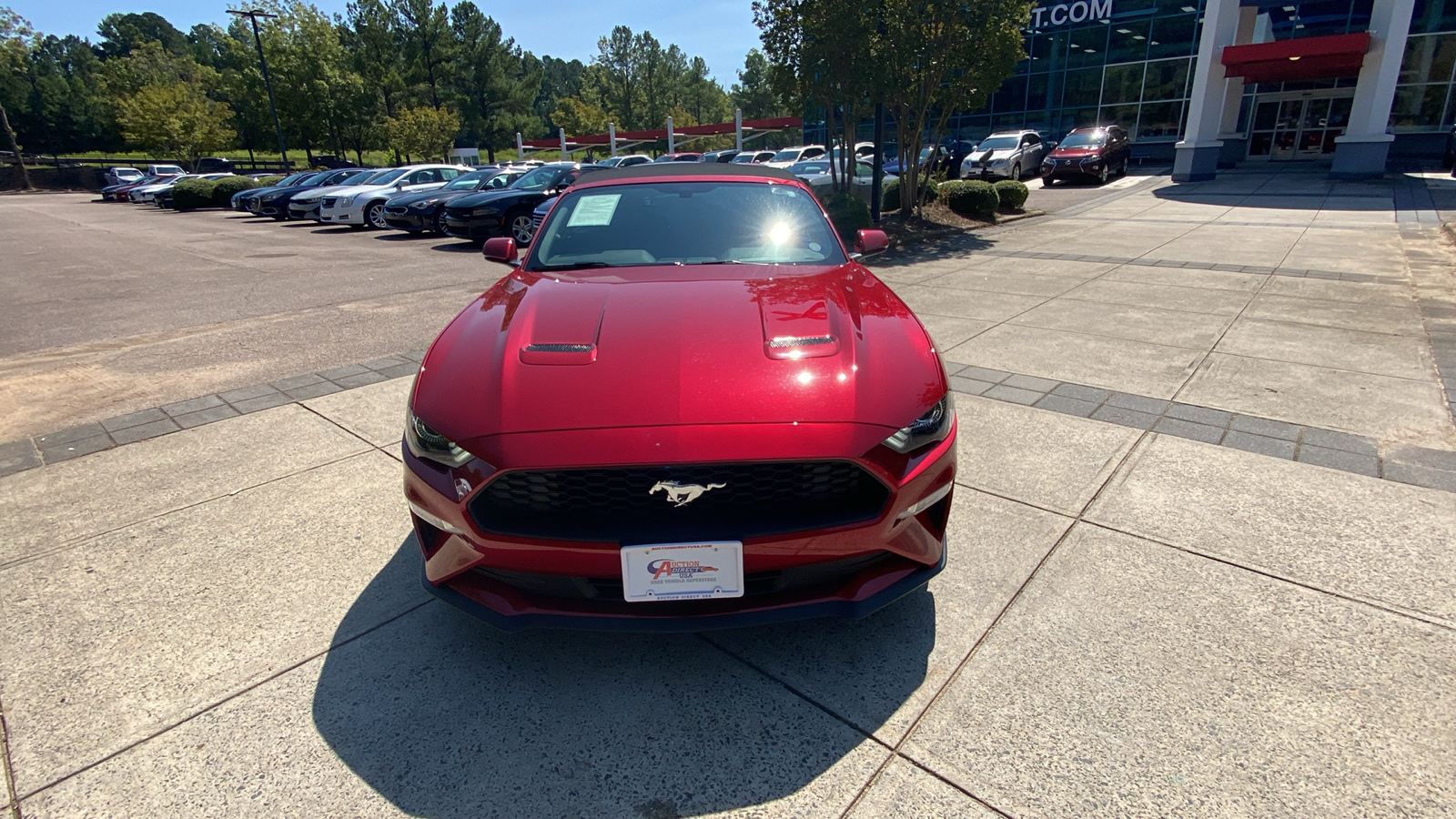 2020 Ford Mustang  3