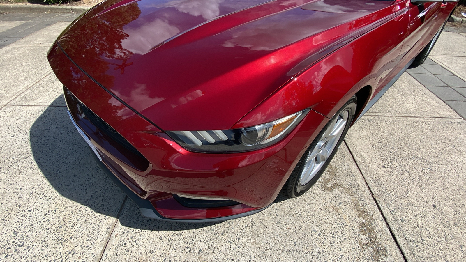 2015 Ford Mustang V6 5