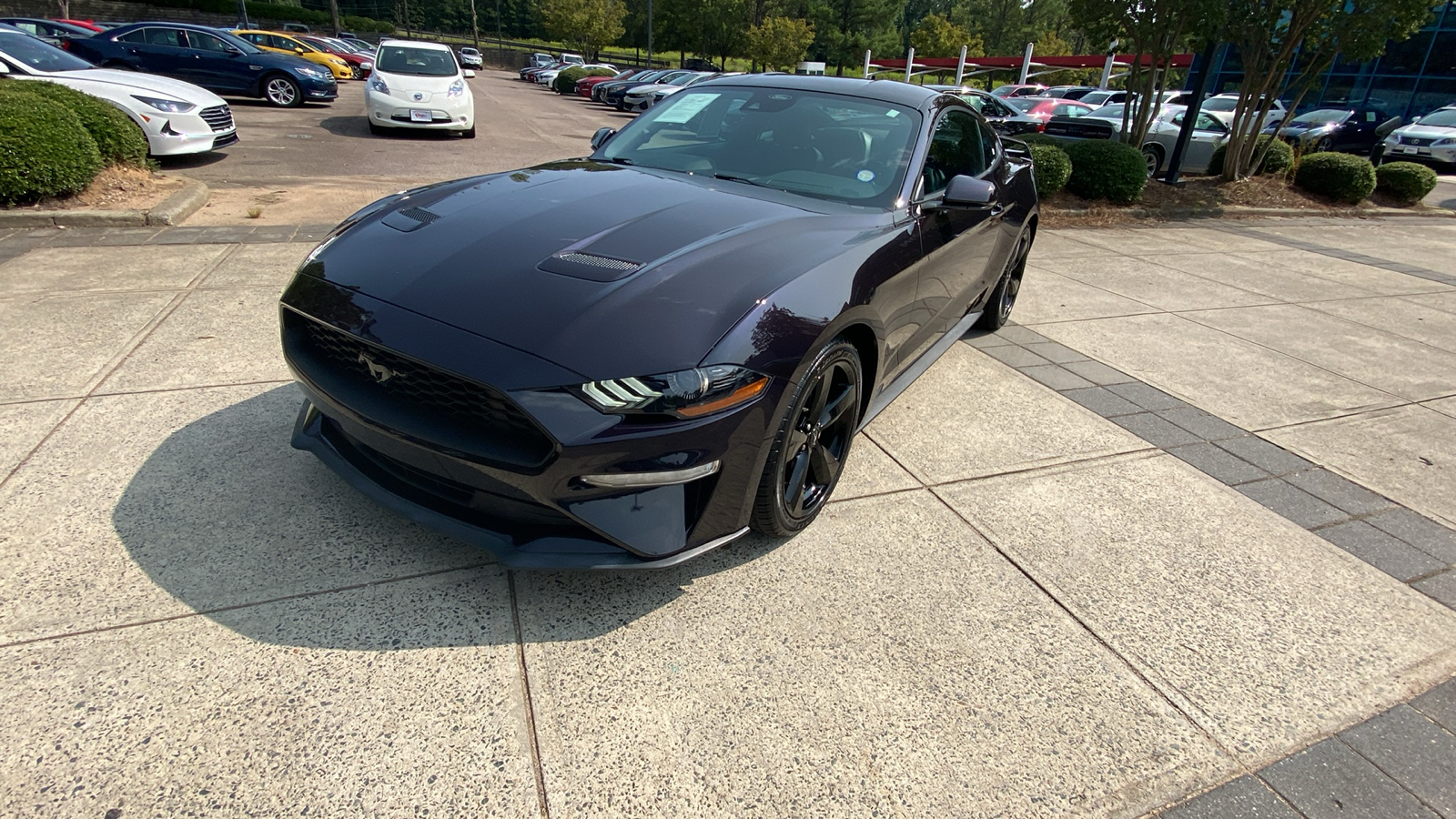 2022 Ford Mustang  4