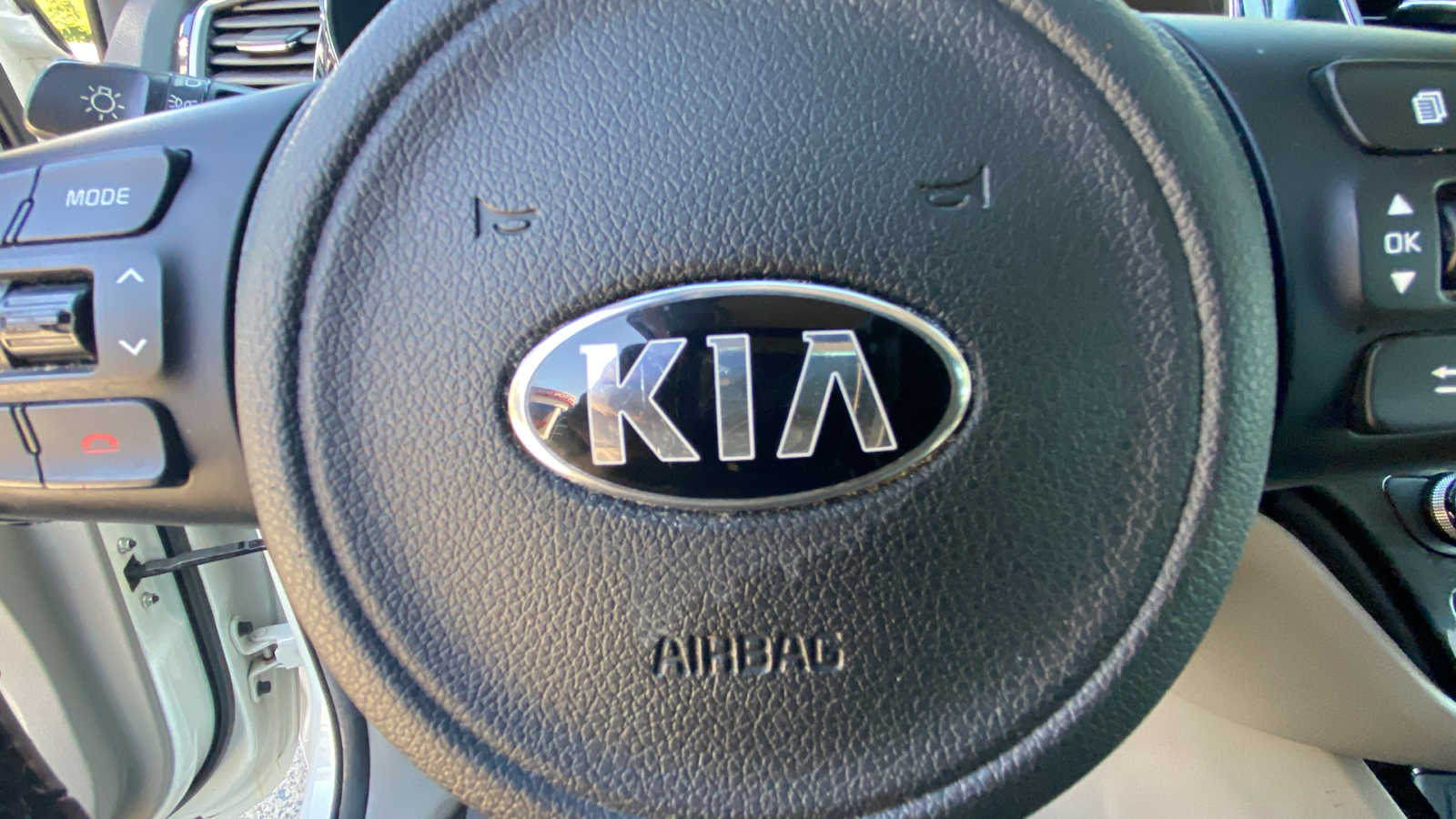 2016 Kia Sedona SX 26