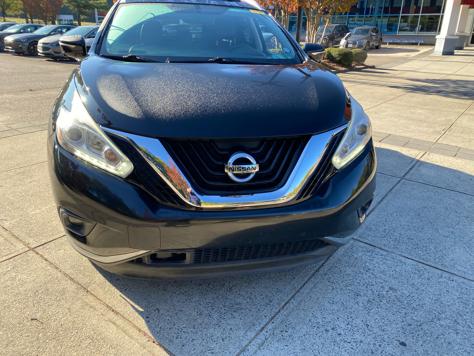 2015 Nissan Murano SL 11