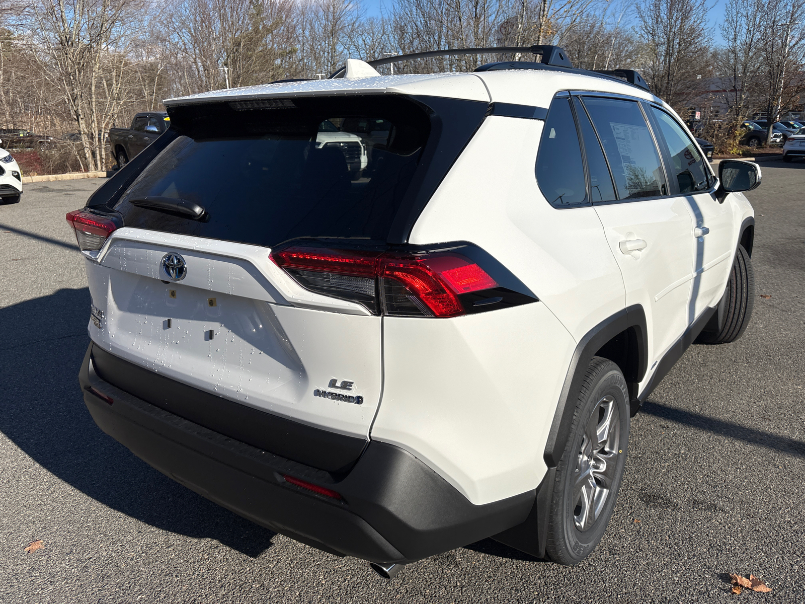 2024 Toyota RAV4 Hybrid LE 10