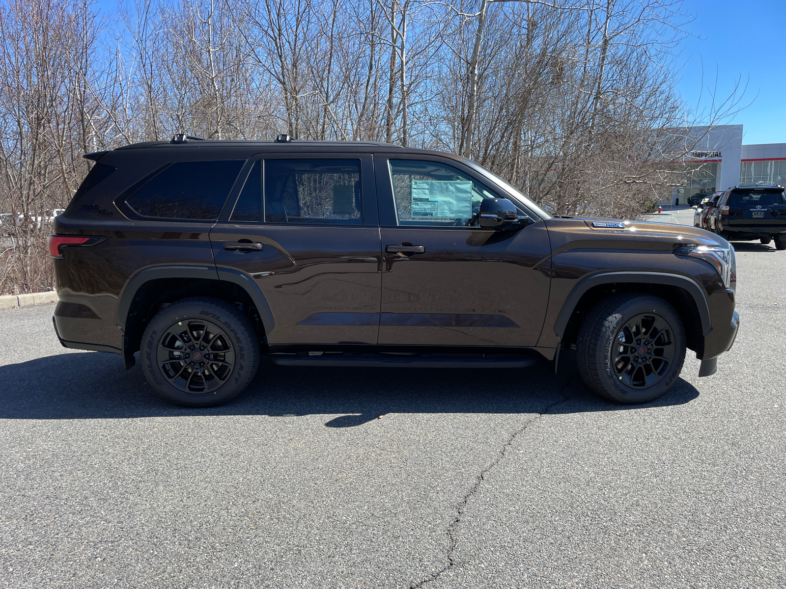 2024 Toyota Sequoia Limited 14