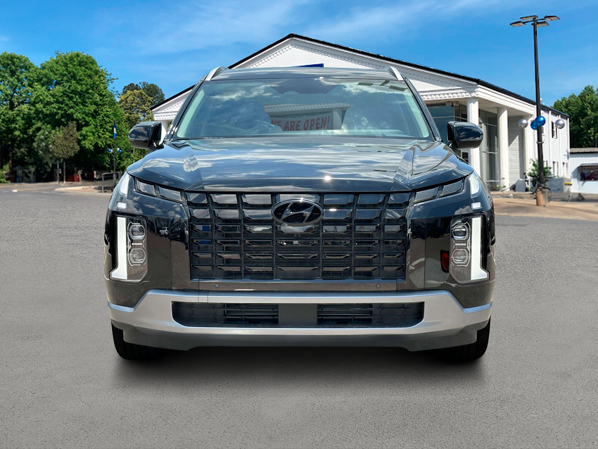 2025 Hyundai Palisade Limited 12