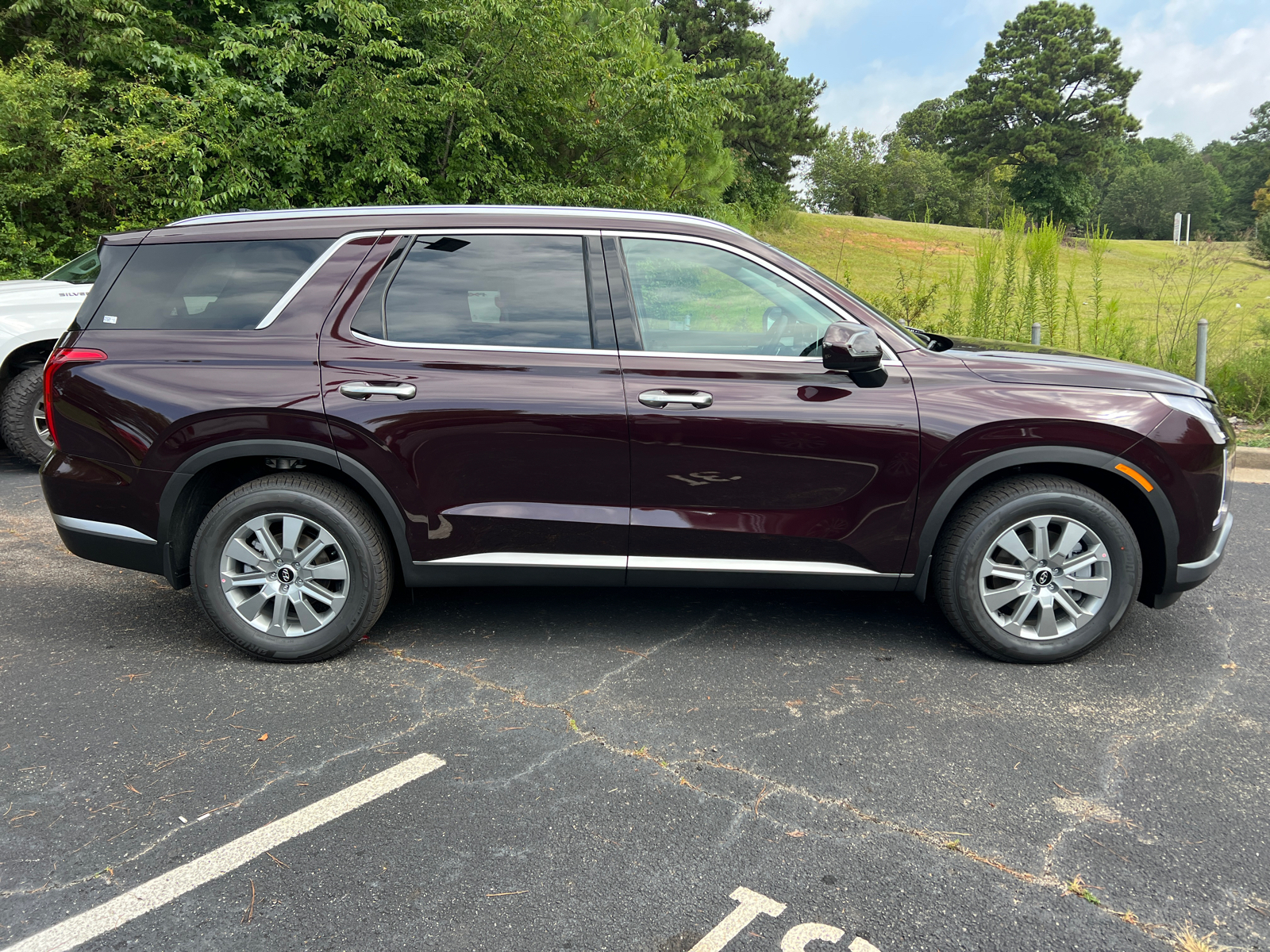 2025 Hyundai Palisade SEL 4