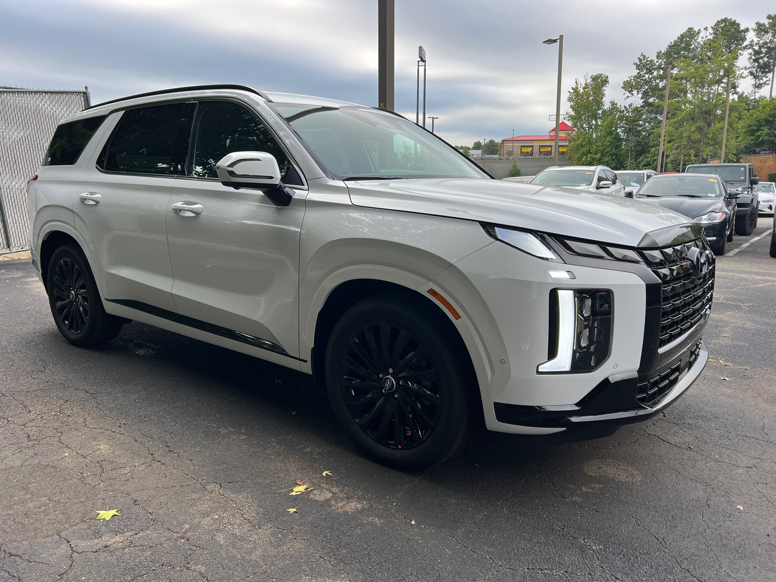 2025 Hyundai Palisade Calligraphy Night Edition 3