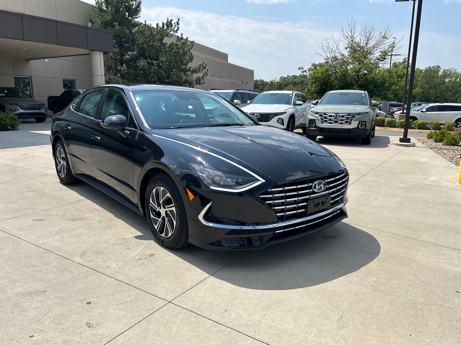 2023 Hyundai Sonata Hybrid Blue 4