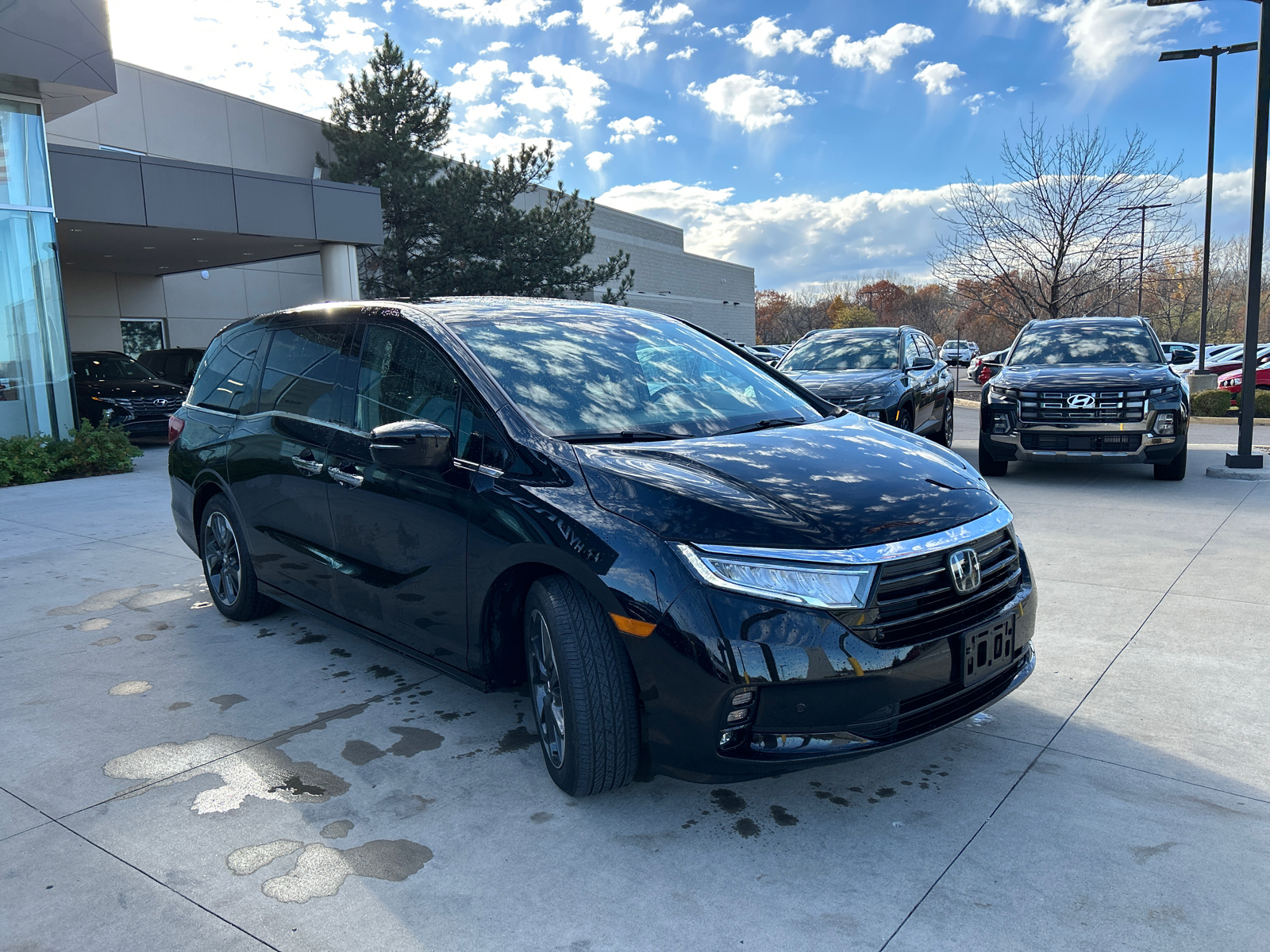 2024 Honda Odyssey Elite 4