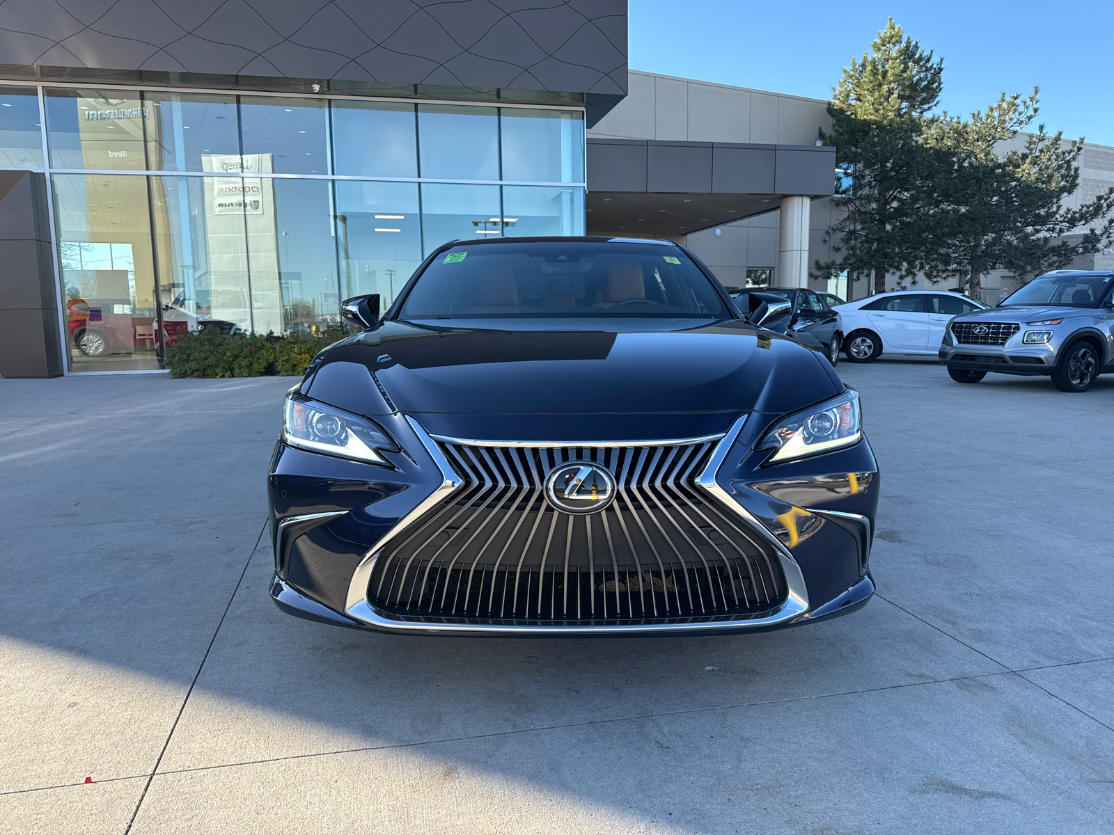 2019 Lexus ES 350 Ultra Luxury 3