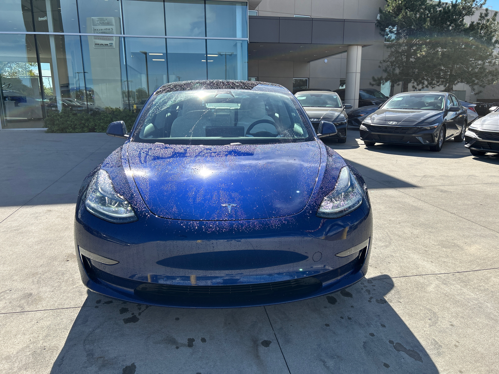 2021 Tesla Model 3 Standard Range Plus 3